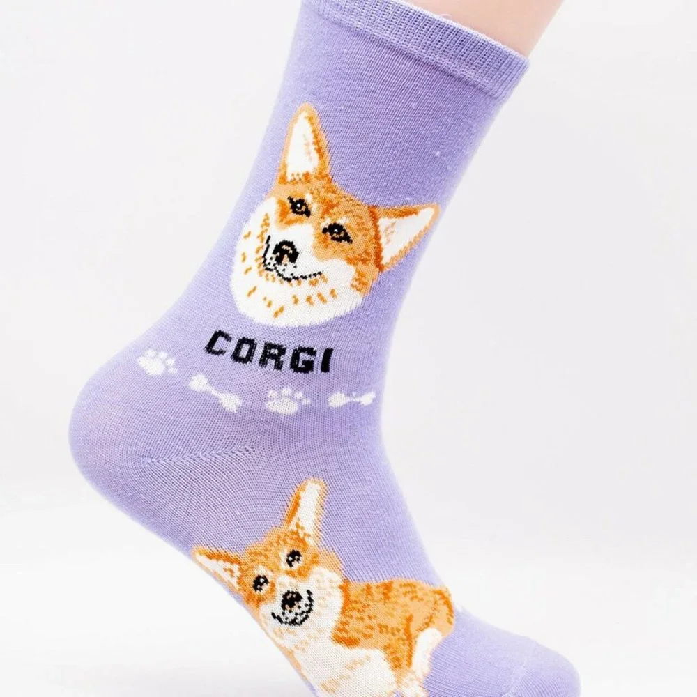 Corgi Pembroke Welsh Dog Doge Coin Crypto Foozys Puppy Loyal Cute Socks 2 Pairs